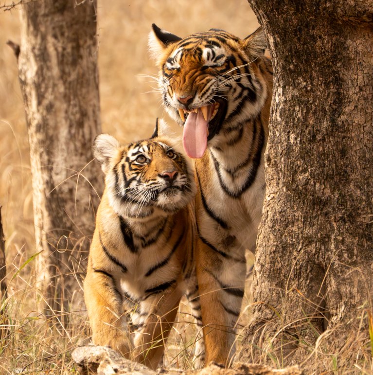 Meredith  (60 of 206).jpg