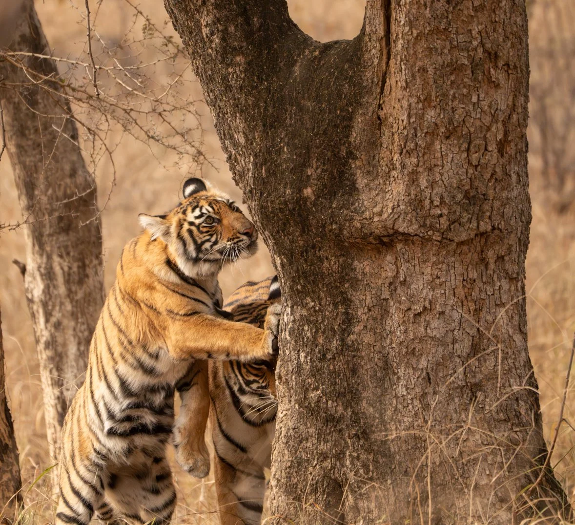 Meredith  (61 of 206).jpg