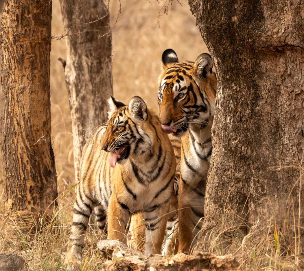 Meredith  (62 of 206).jpg