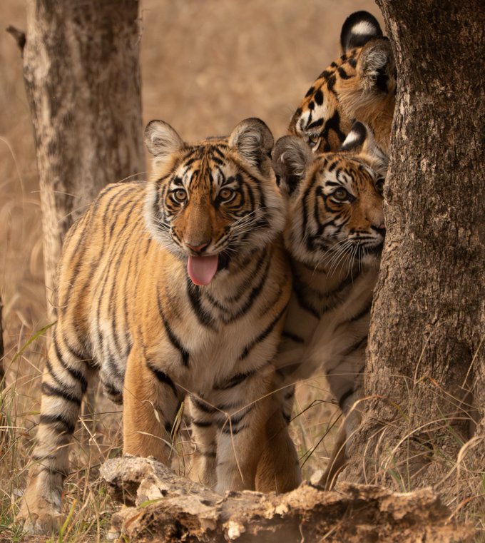 Meredith  (64 of 206).jpg