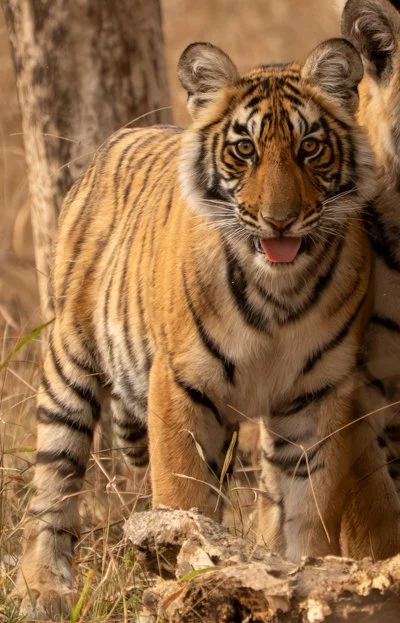 Meredith  (66 of 206).jpg