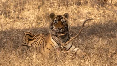 Meredith  (69 of 206).jpg