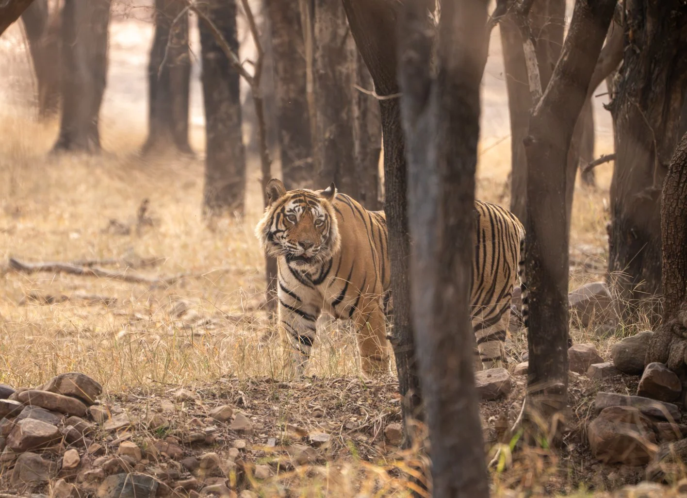 Meredith  (70 of 206).jpg