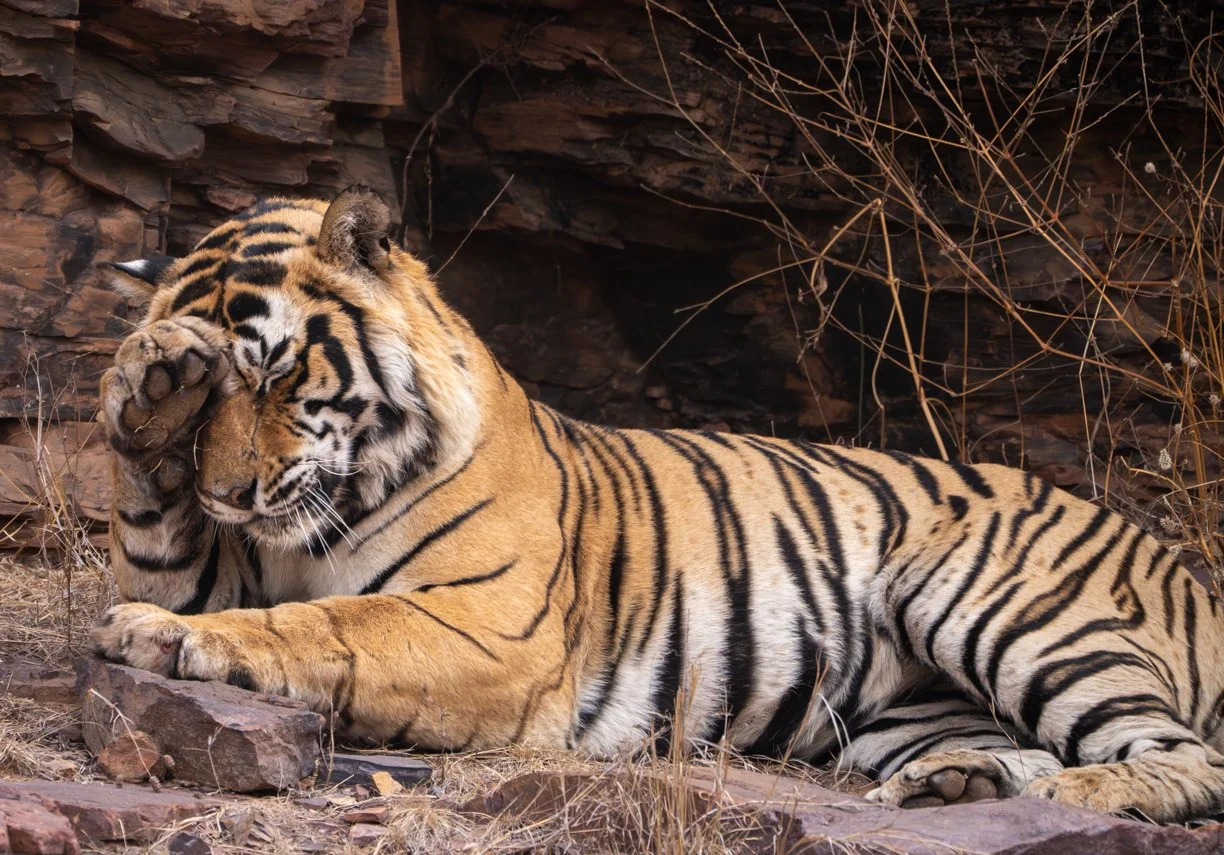 Meredith  (76 of 206).jpg