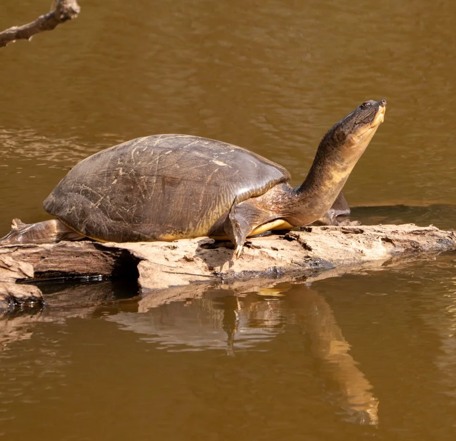 Meredith  (78 of 206).jpg