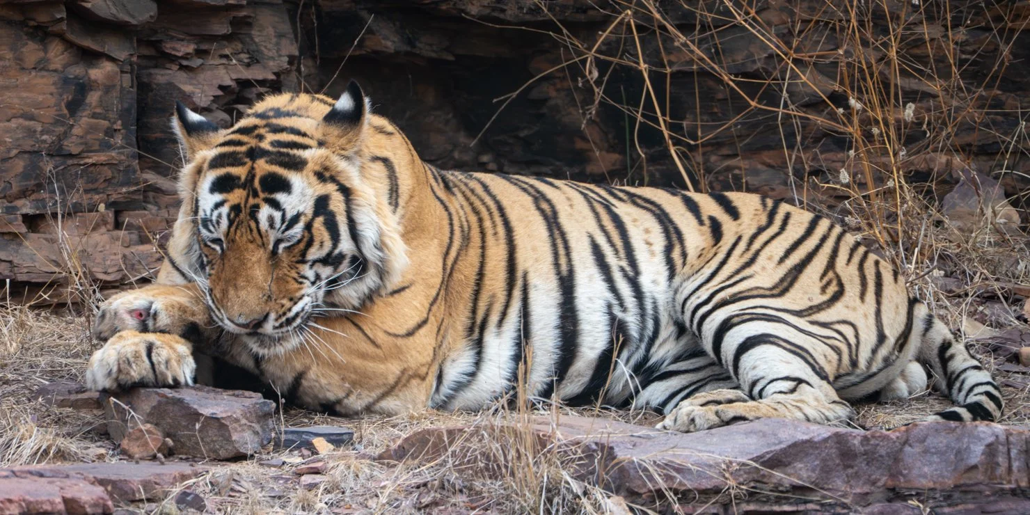 Meredith  (77 of 206).jpg