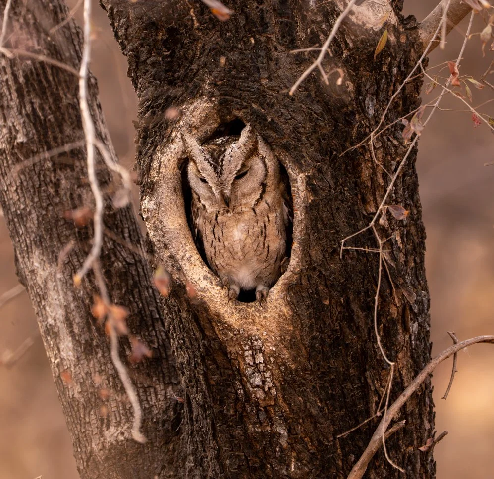 Meredith  (80 of 206).jpg