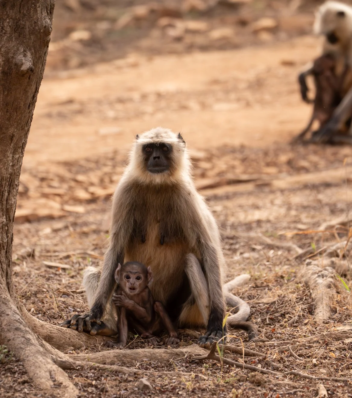 Meredith  (81 of 206).jpg