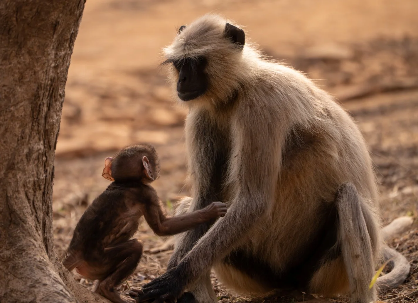 Meredith  (82 of 206).jpg