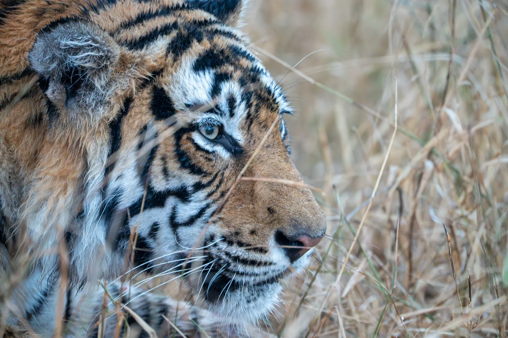 Meredith  (84 of 206).jpg