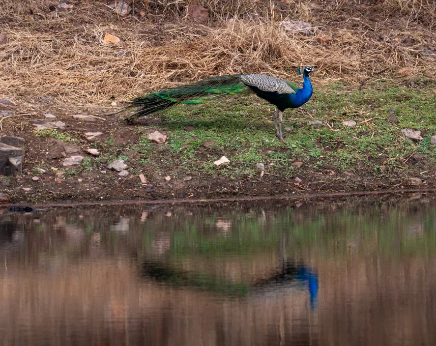 Meredith  (91 of 206).jpg