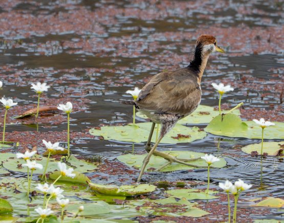 Meredith  (94 of 206).jpg