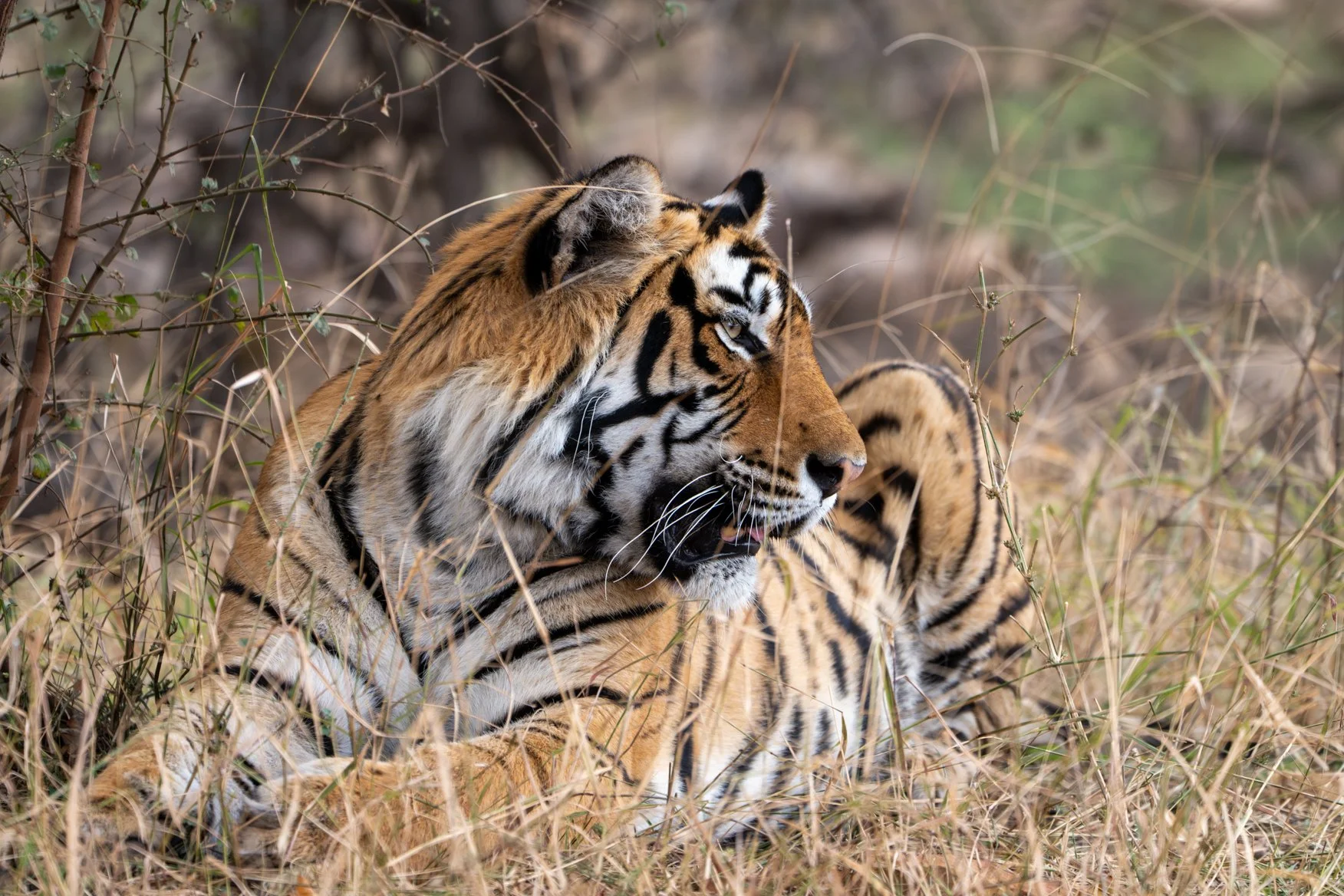 Meredith  (96 of 206).jpg