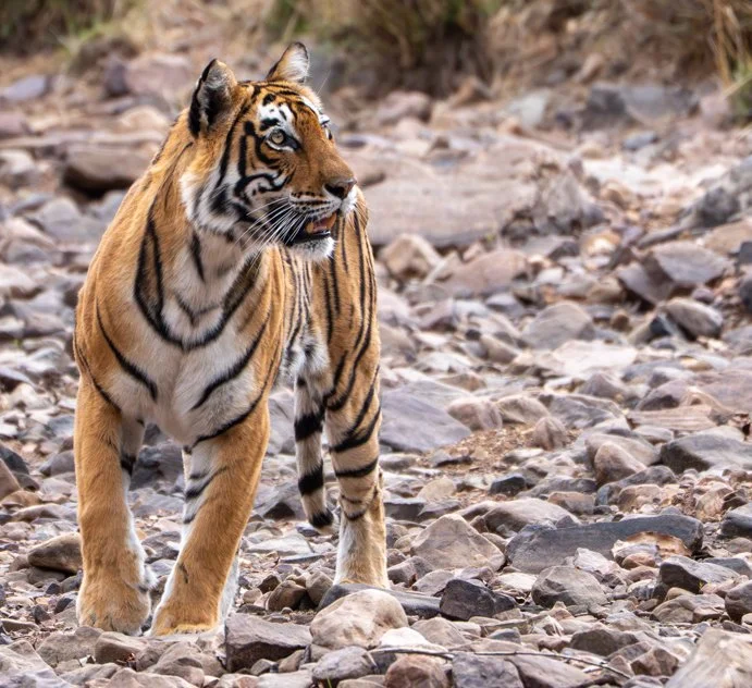 Meredith  (99 of 206).jpg