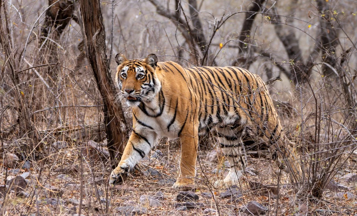 Meredith  (104 of 206).jpg