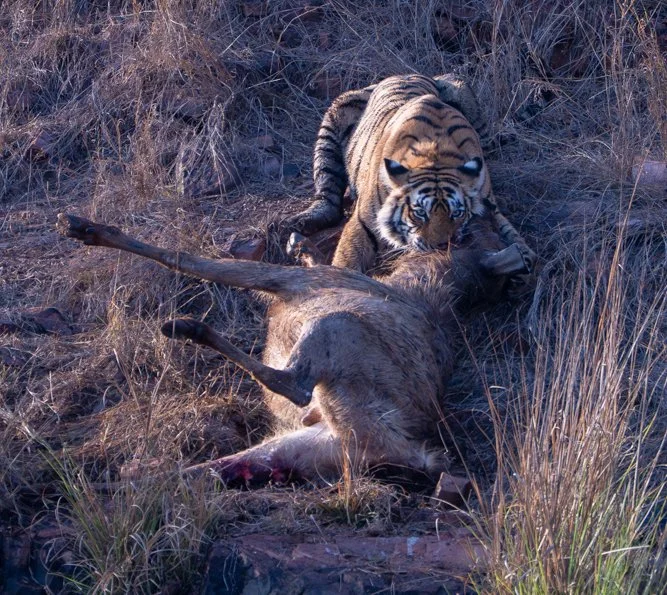 Meredith  (106 of 206).jpg