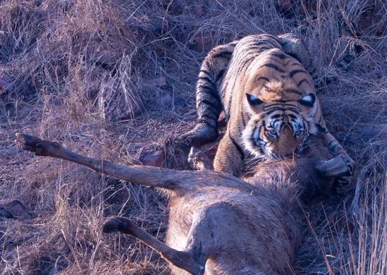 Meredith  (107 of 206).jpg