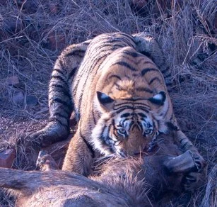 Meredith  (108 of 206).jpg