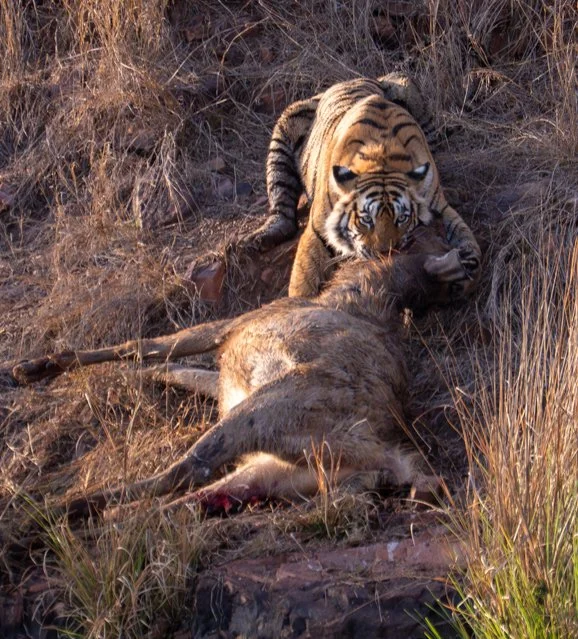 Meredith  (109 of 206).jpg