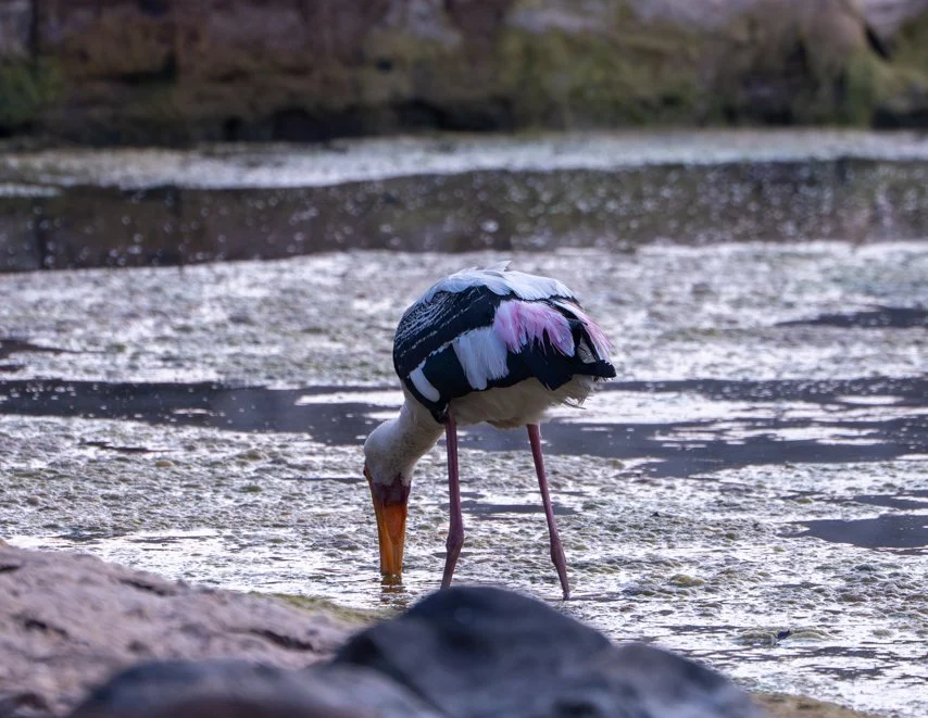 Meredith  (111 of 206).jpg