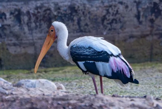 Meredith  (112 of 206).jpg