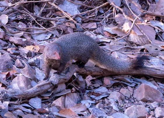 Meredith  (117 of 206).jpg