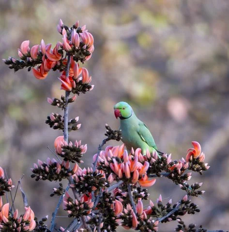 Meredith  (118 of 206).jpg