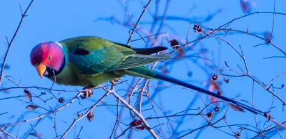 Meredith  (119 of 206).jpg