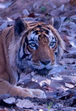 Meredith  (122 of 206).jpg