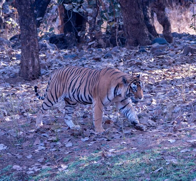 Meredith  (123 of 206).jpg