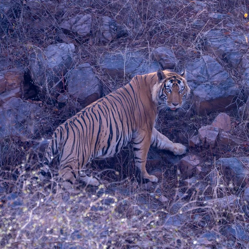 Meredith  (124 of 206).jpg