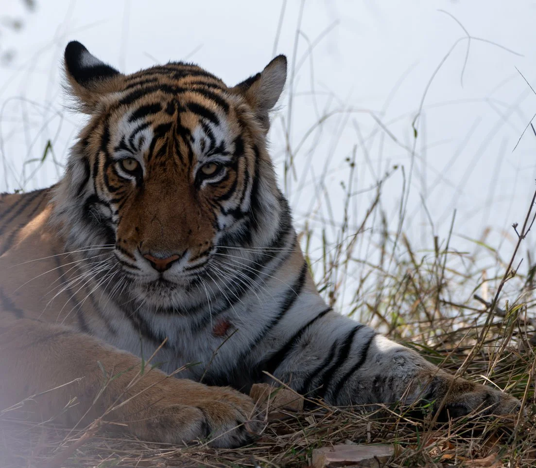 Meredith  (128 of 206).jpg