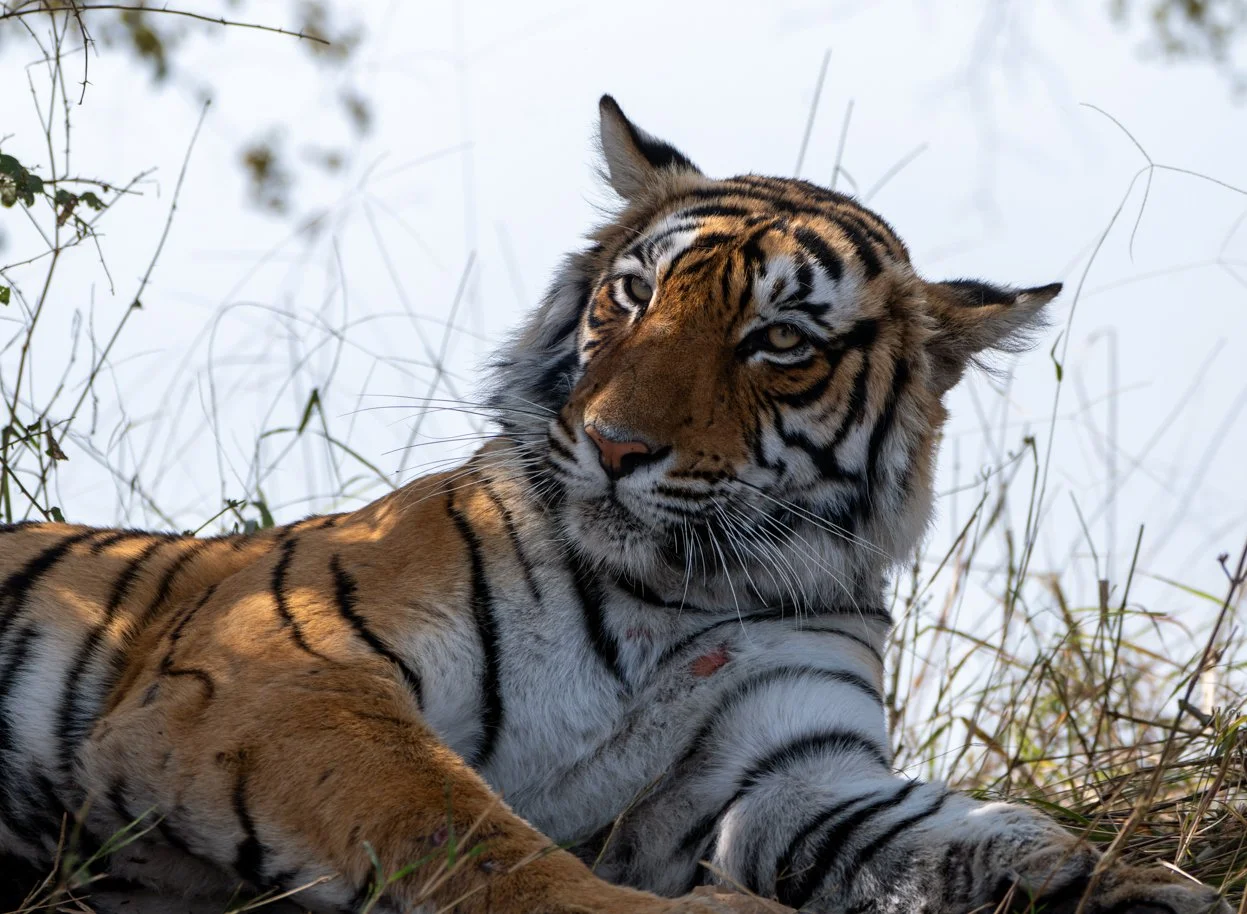 Meredith  (129 of 206).jpg