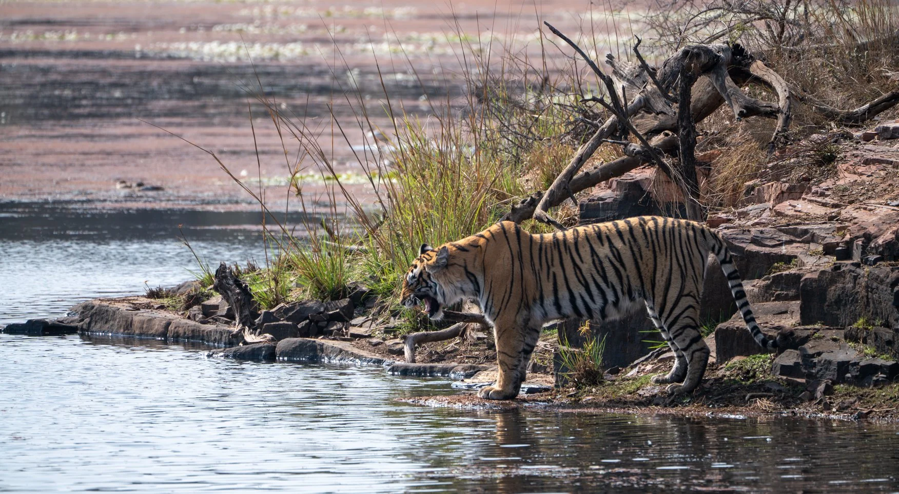 Meredith  (131 of 206).jpg