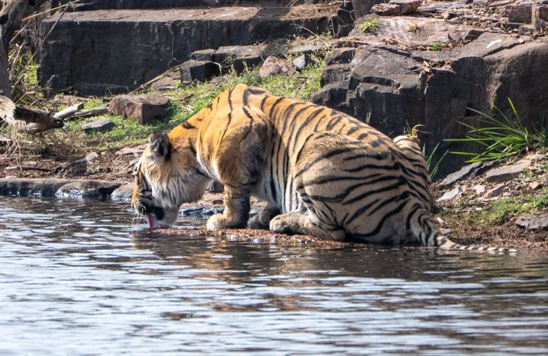 Meredith  (132 of 206).jpg