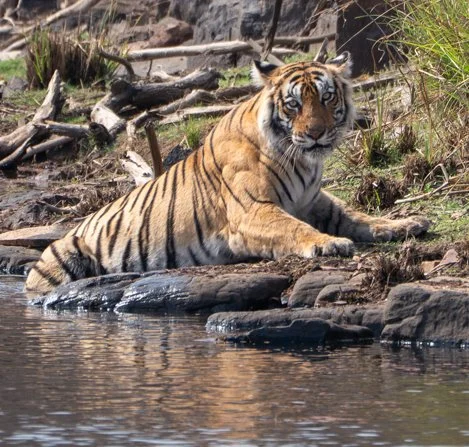 Meredith  (133 of 206).jpg