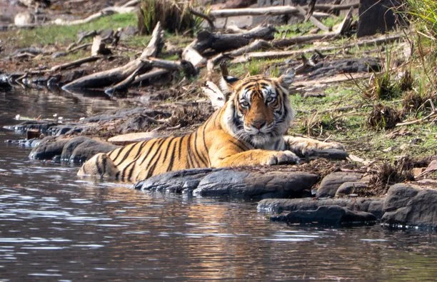 Meredith  (134 of 206).jpg