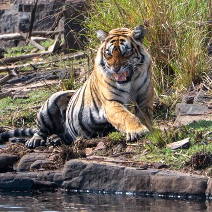 Meredith  (136 of 206).jpg