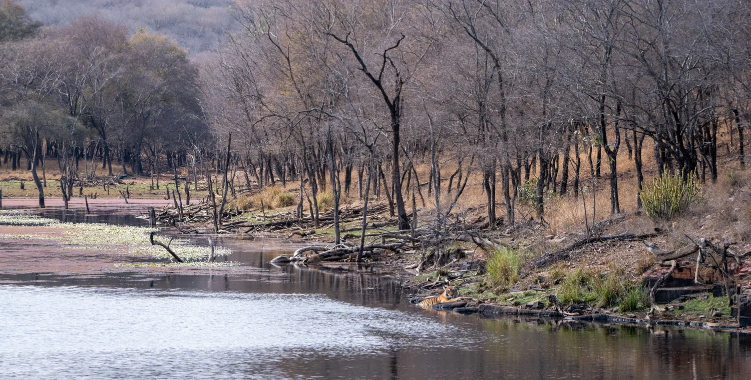 Meredith  (135 of 206).jpg