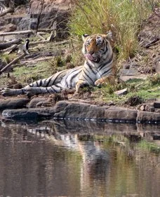 Meredith  (137 of 206).jpg