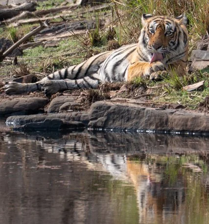 Meredith  (138 of 206).jpg