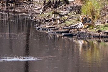 Meredith  (139 of 206).jpg