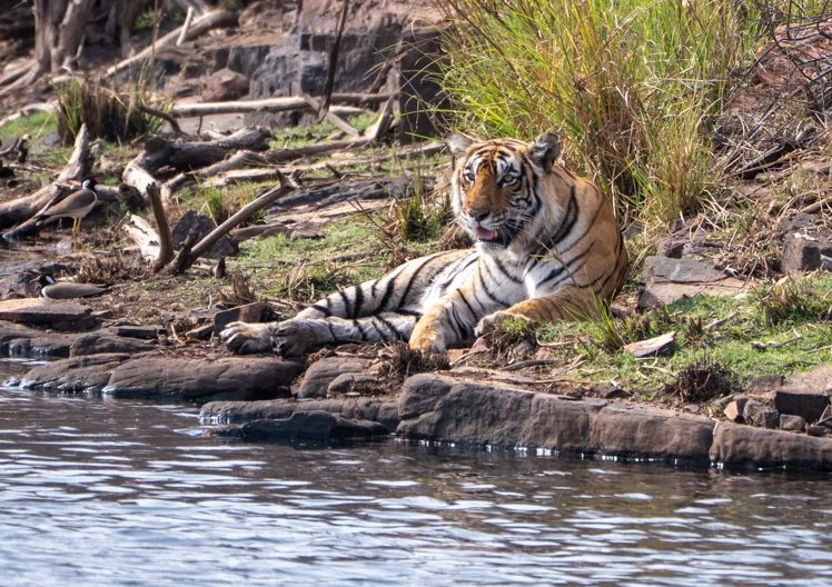 Meredith  (140 of 206).jpg