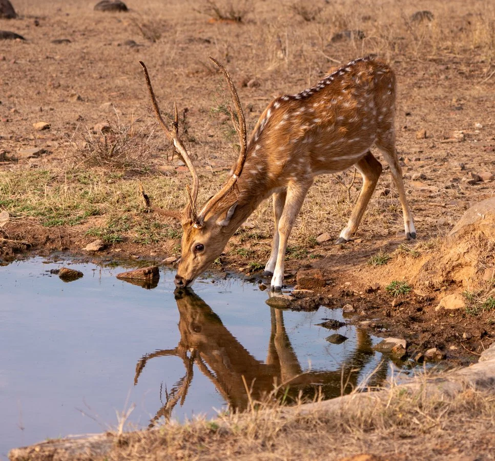 Meredith  (145 of 206).jpg