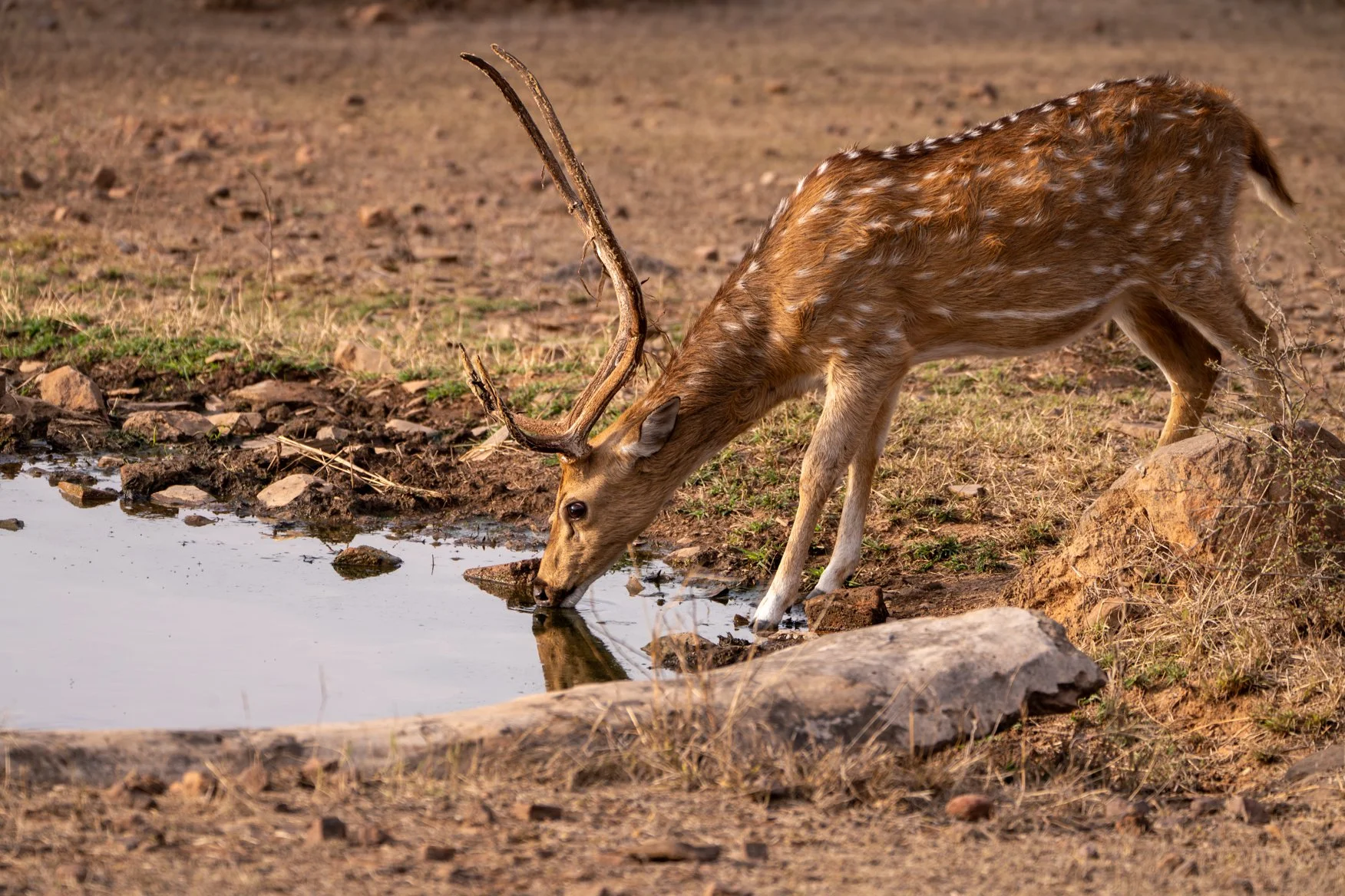 Meredith  (144 of 206).jpg