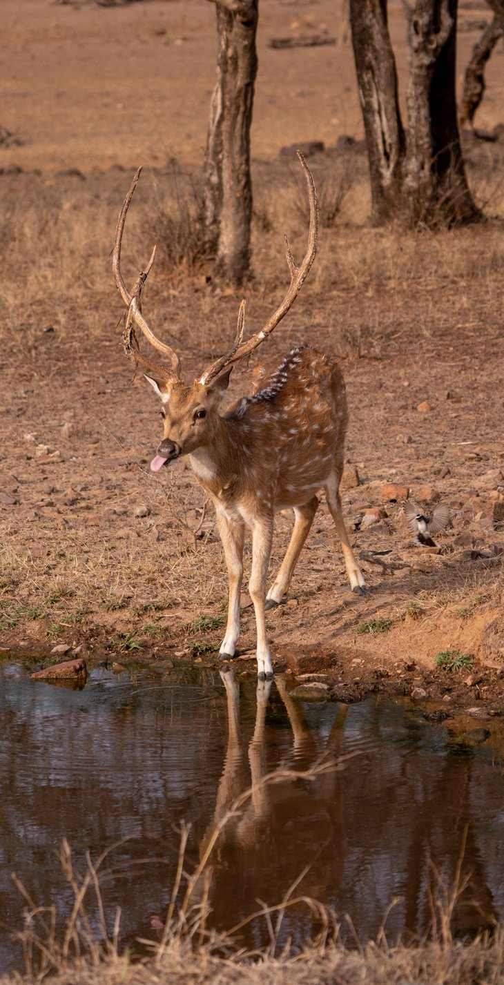 Meredith  (146 of 206).jpg