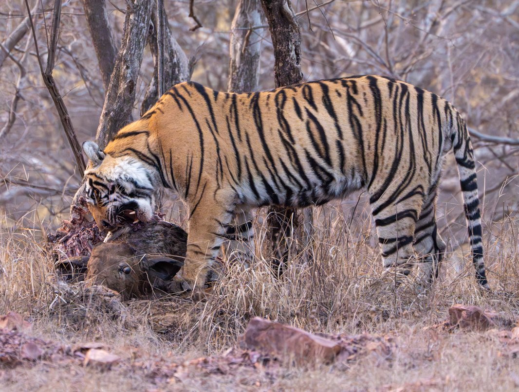 Meredith  (150 of 206).jpg