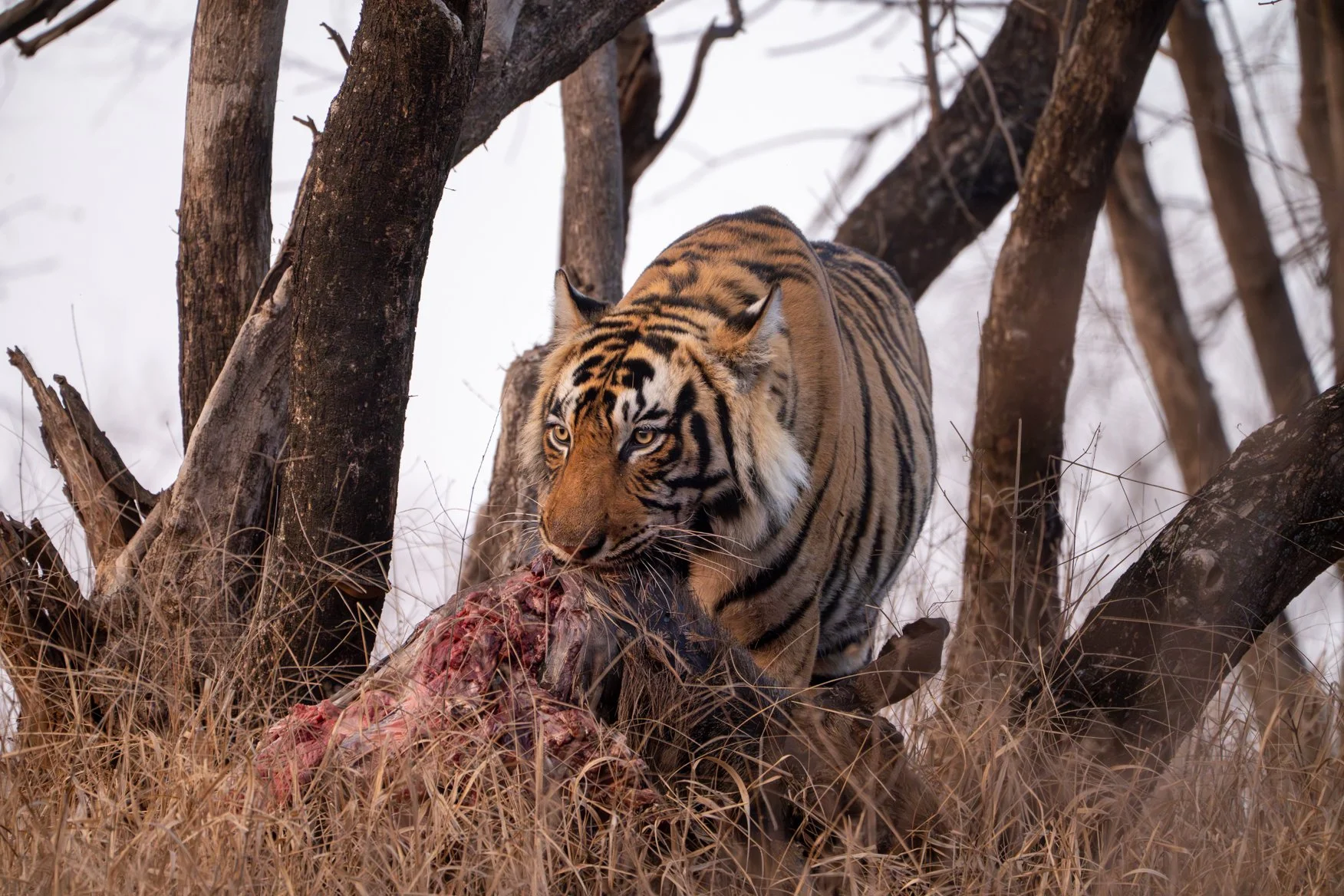 Meredith  (157 of 206).jpg