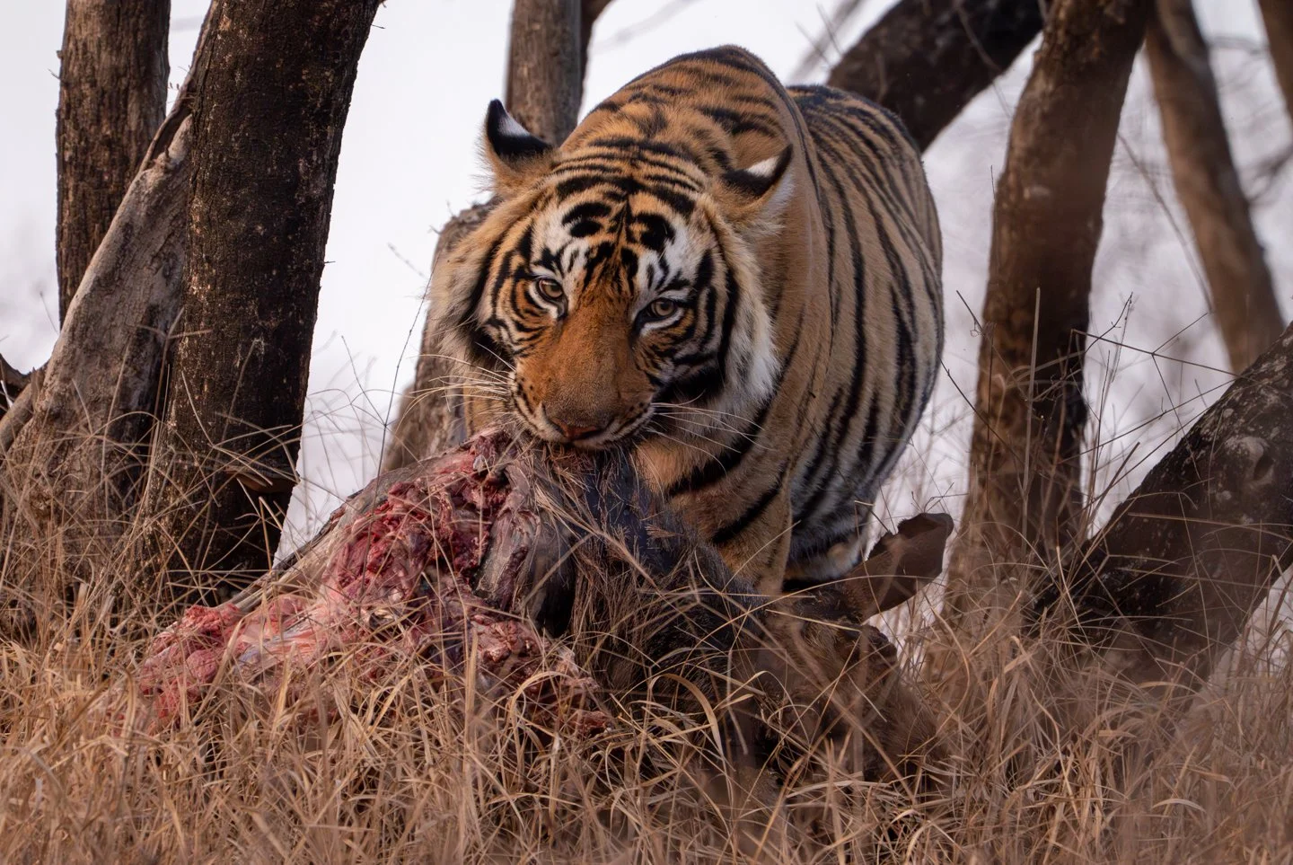 Meredith  (158 of 206).jpg