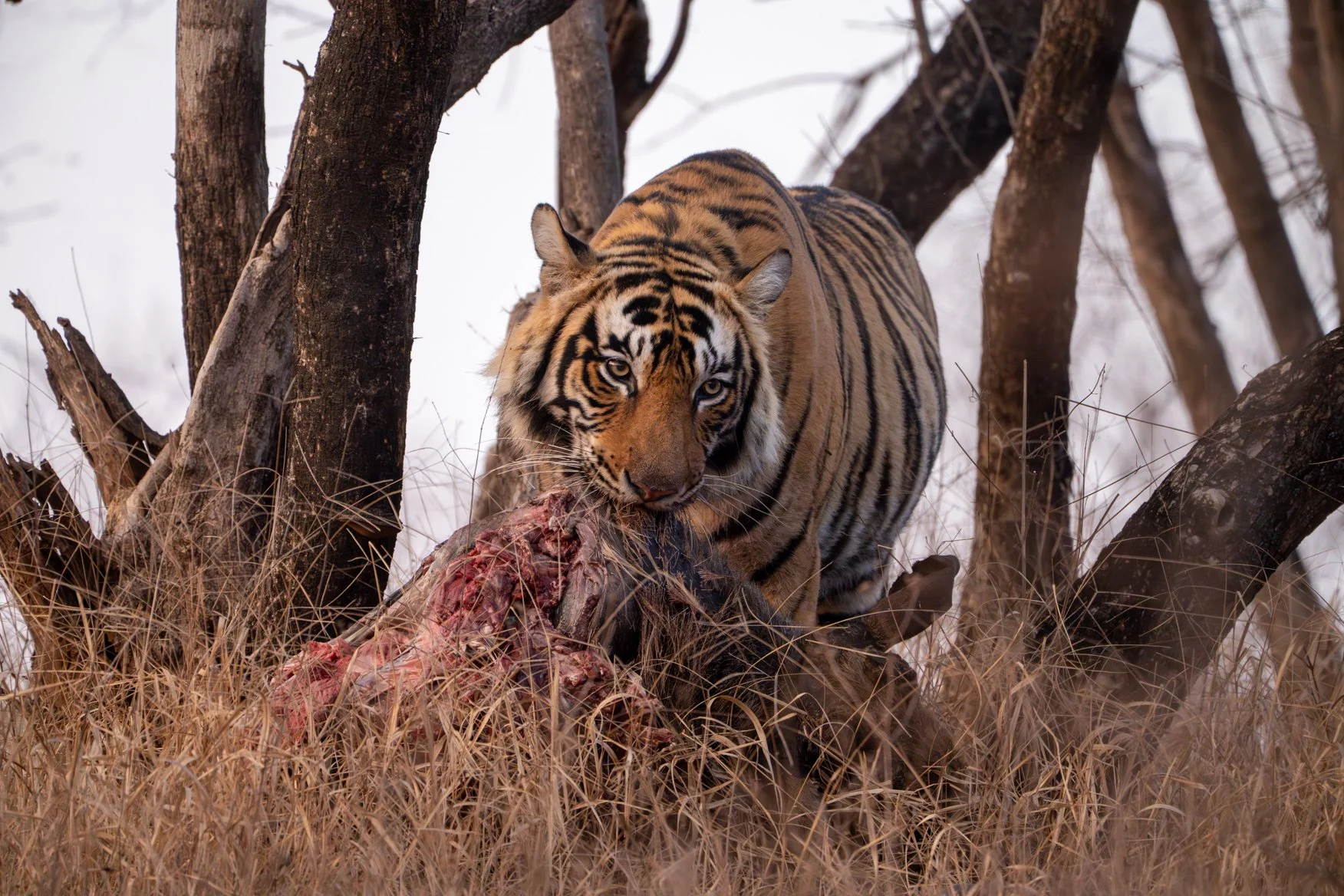 Meredith  (159 of 206).jpg